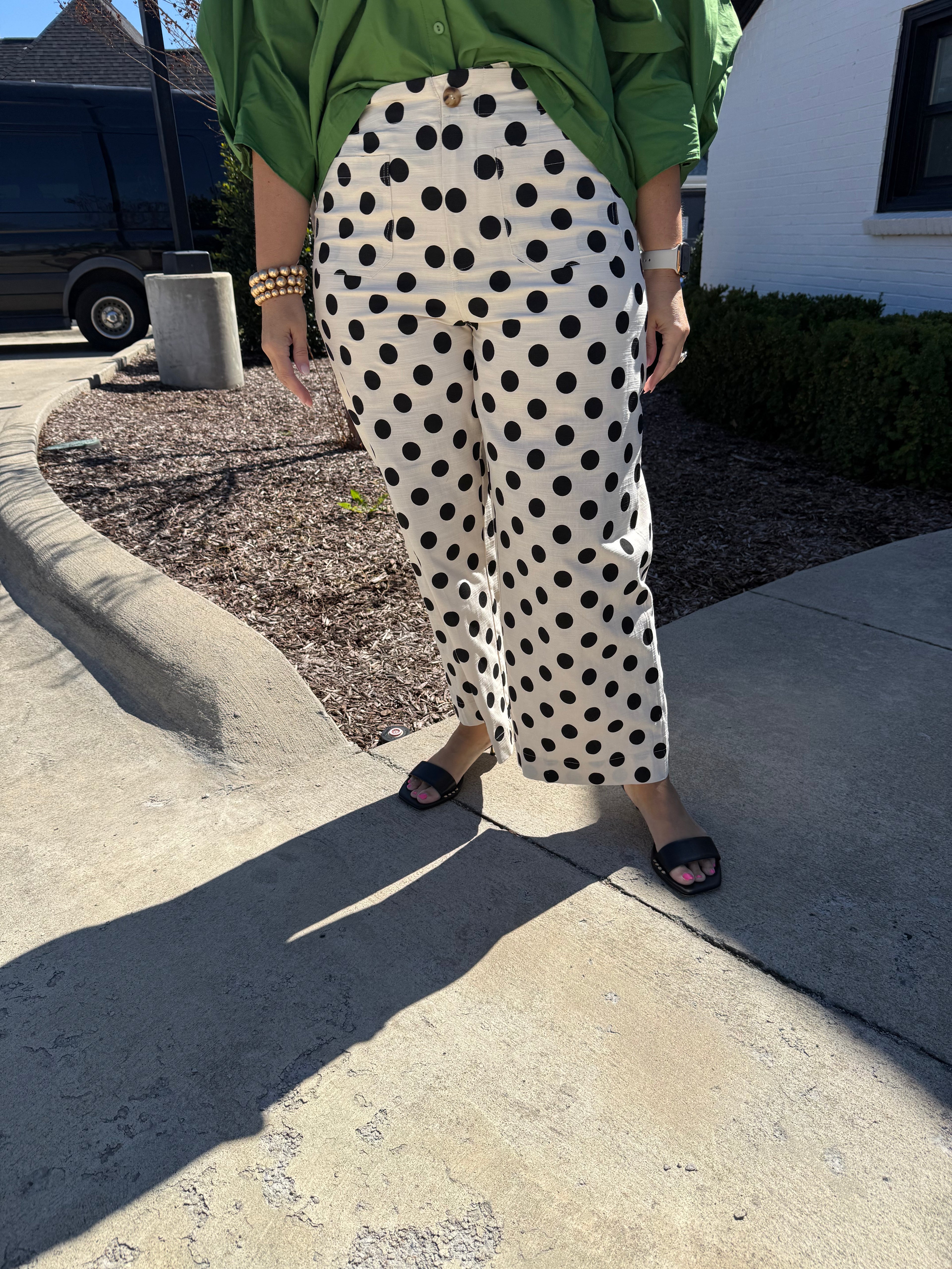 Cropped Wide Leg Polka Dot Pants